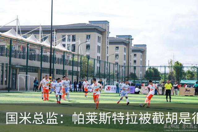 国米总监：帕莱斯特拉被截胡是很正常的事 我们与英超有经济差距